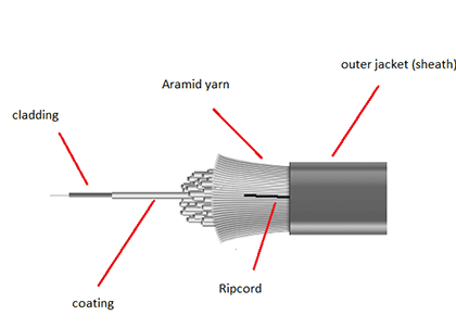 Cabling Anatomy